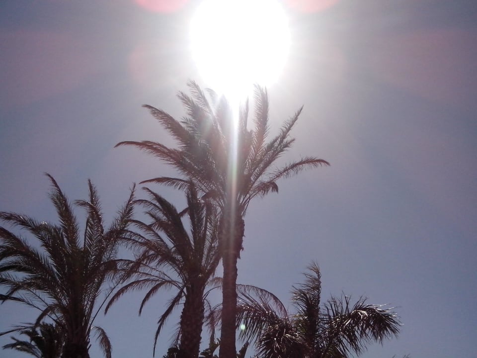 S.o. Occidental Jandía Mar