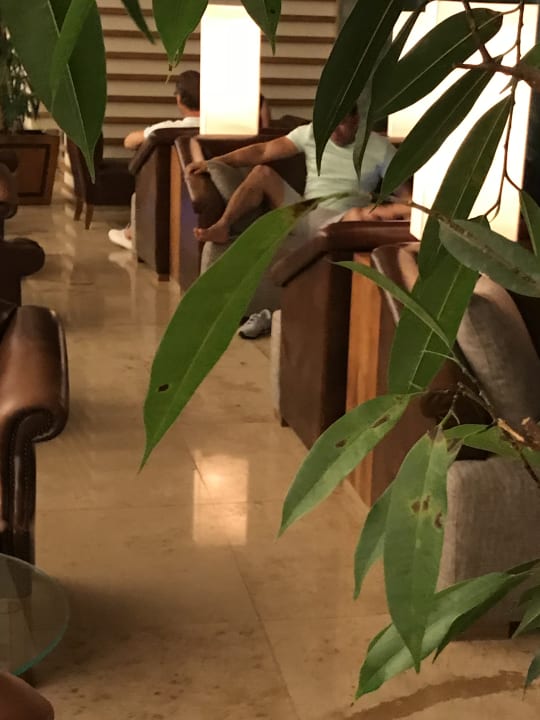 Lobby Gloria Serenity Resort