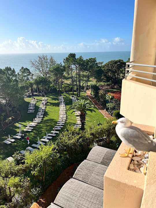 Ausblick PortoBay Falésia