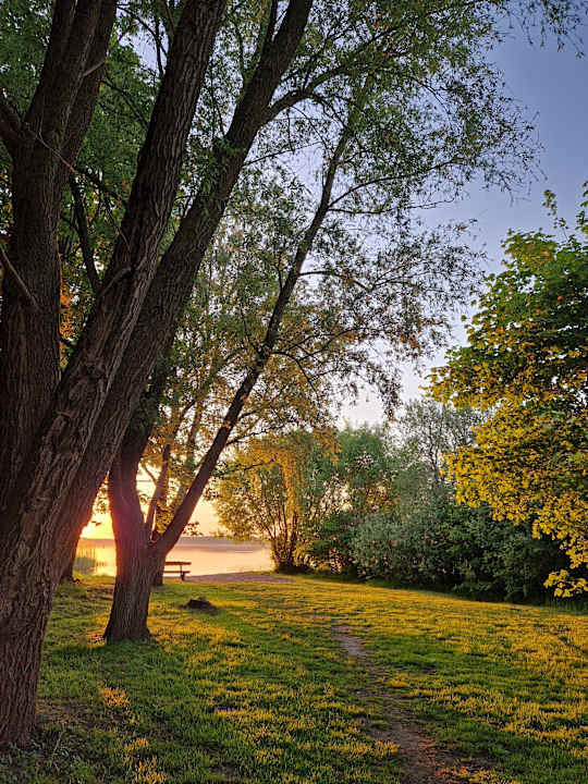 Strand Hotel Fleesensee Resort & Spa