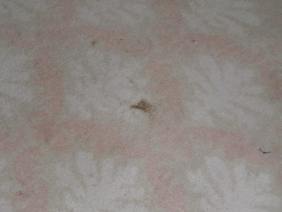 Teppichboden Hotel Planeta