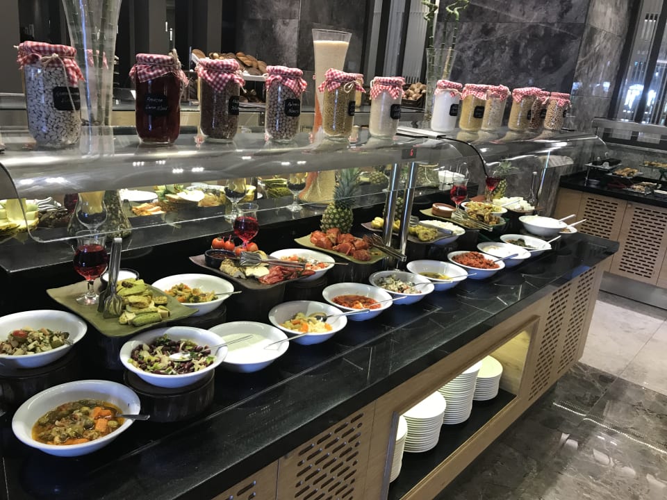 Gastro Seashell Vega