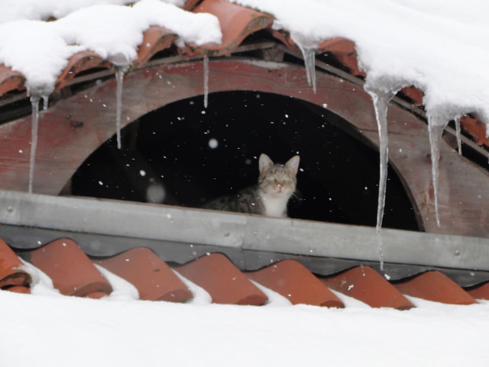 Sonstiges Burgbauernhof Katzenstein