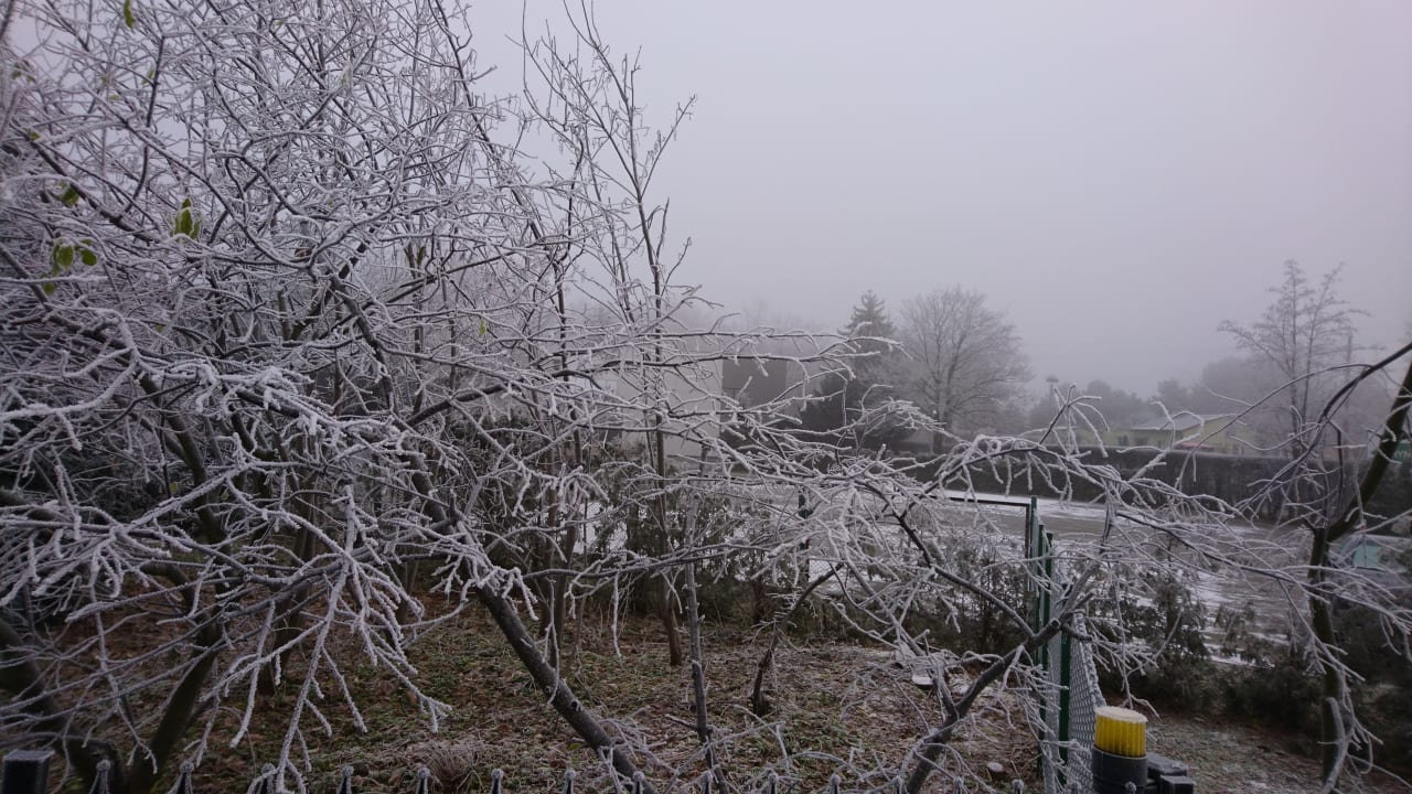 Gartenanlage Resort Ośrodek Wczasowo Kolonijny Korona