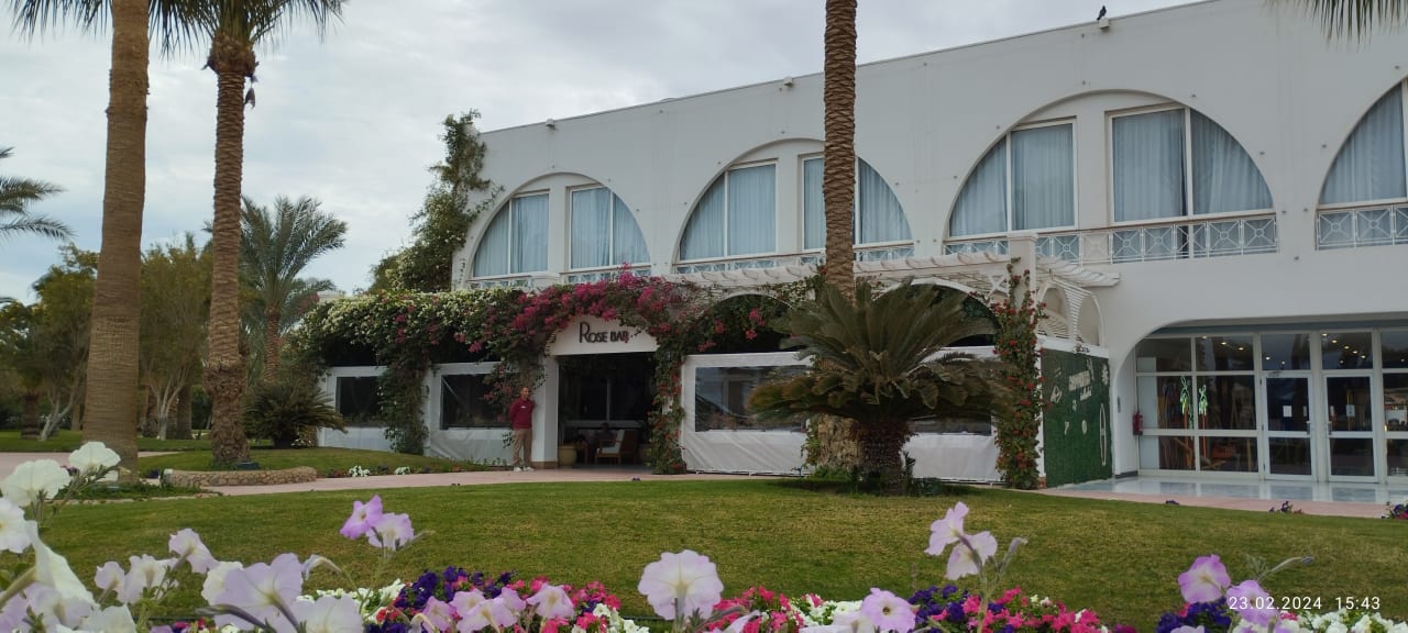 Außenansicht Desert Rose