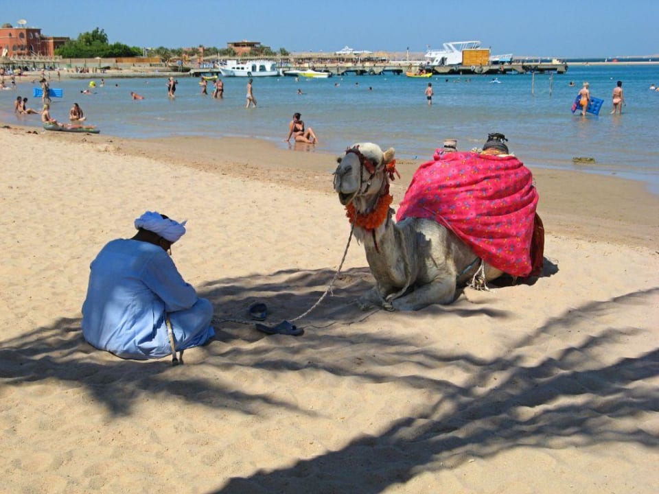 Pause im Schatten Giftun Azur Resort