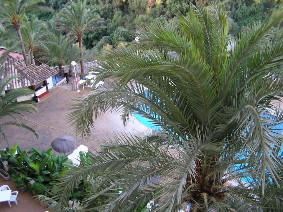 Bar/Pool HSM Canarios Park