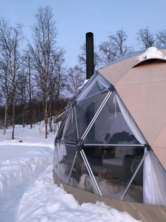 Zimmer Wild Caribou Dome