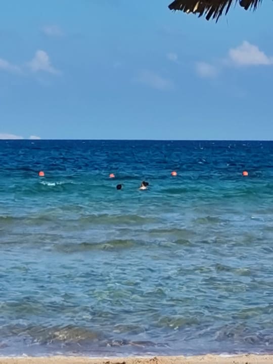 Strand Aladdin Beach Resort