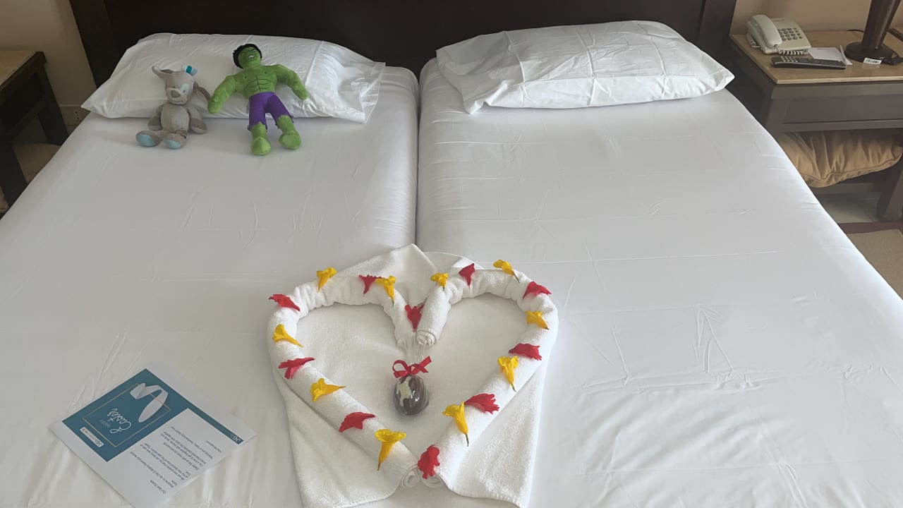 Zimmer Jaz Dar EL Madina