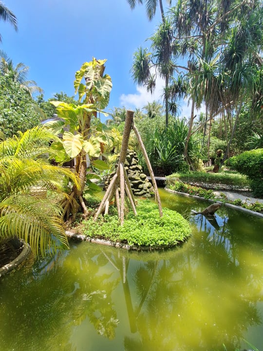 Gartenanlage Adaaran Select Meedhupparu Island Resort - Premium All Inclusive