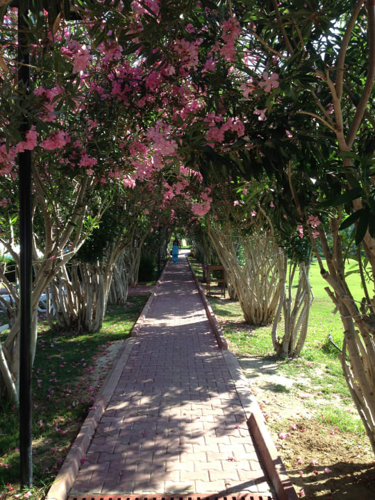 Gartenanlage Seher Kumköy Star Resort & Spa