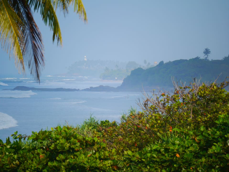 Blick aus dem Zimmer NH Bentota Ceysands Resort