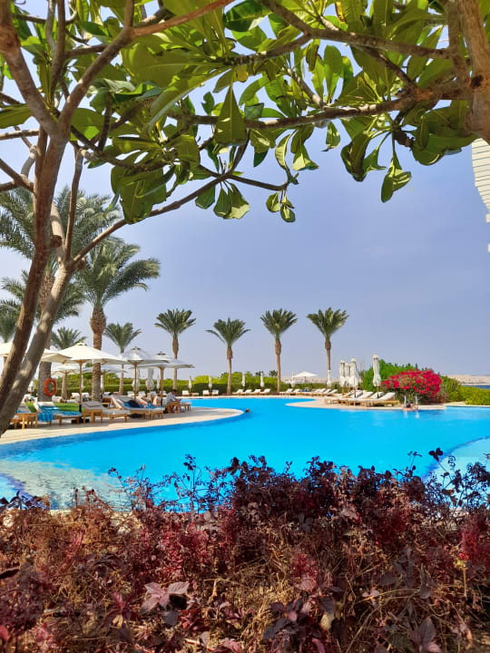 Pool Baron Palace Sahl Hasheesh