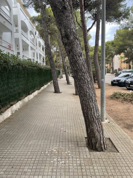 Außenansicht Green Garden Aparthotel