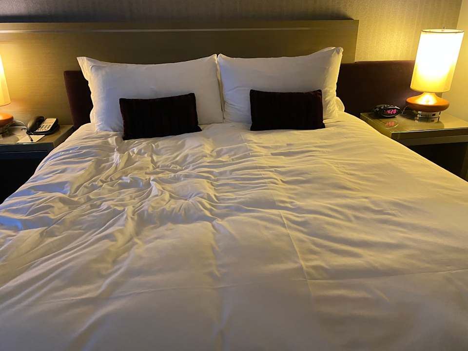 Zimmer Loews Hollywood Hotel