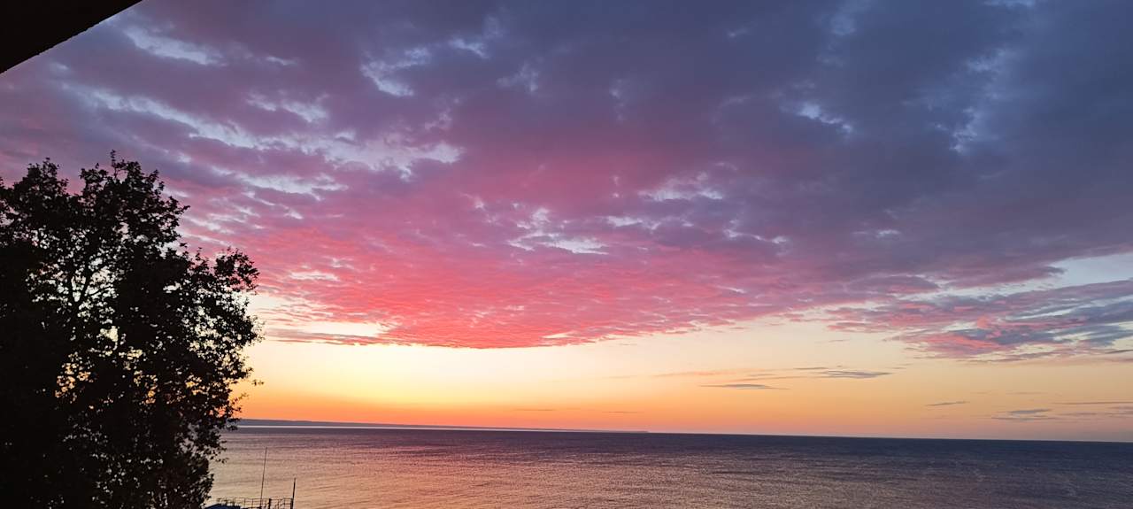 Sonstiges GRIFID Vistamar