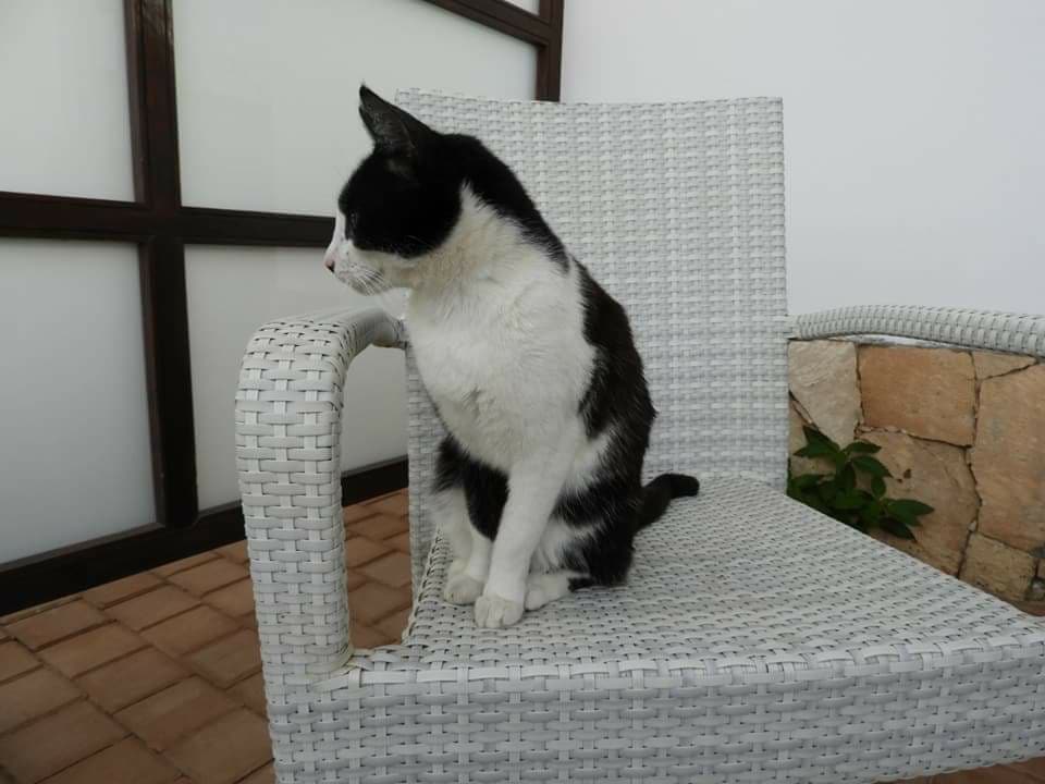 Sonstiges Meliá Laguna Beach