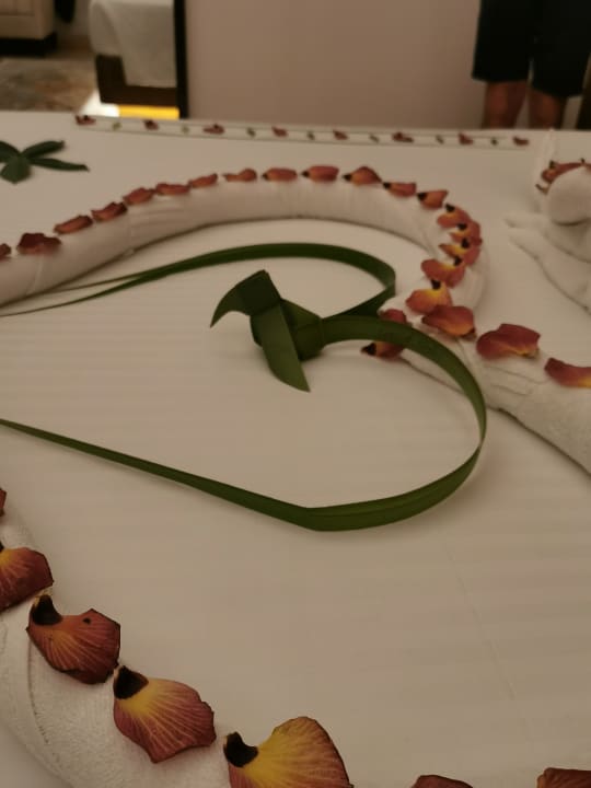 Zimmer Cinnamon Hakuraa Huraa Maldives