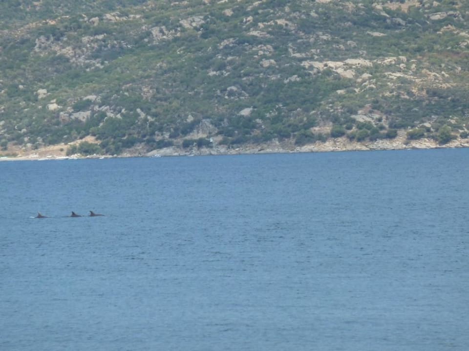 Delphine Hotel Irini