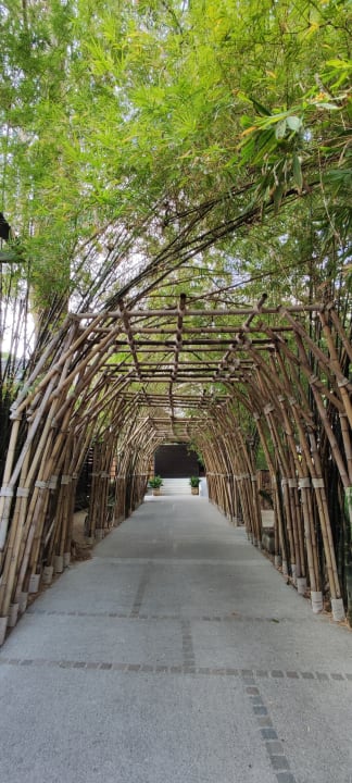 Gartenanlage NH Collection Samui Peace Resort