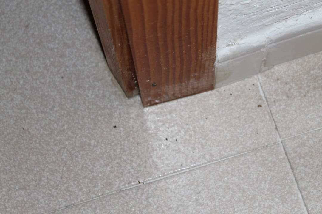 Dreck und Krümel überall auf dem Boden Hipotels Mediterraneo Club