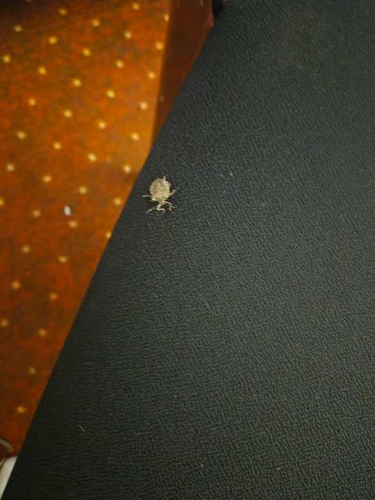 Zimmer Hotel NH Oberhausen