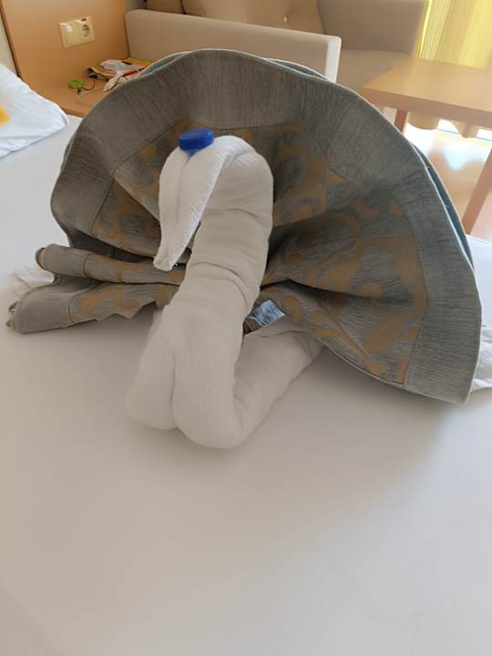 Zimmer Solivia Hotel