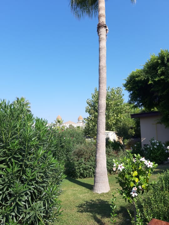 Gartenanlage Hotel Grand Side