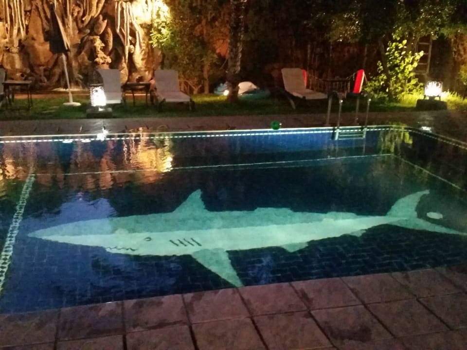 Pool Hotel Dar Ouladna