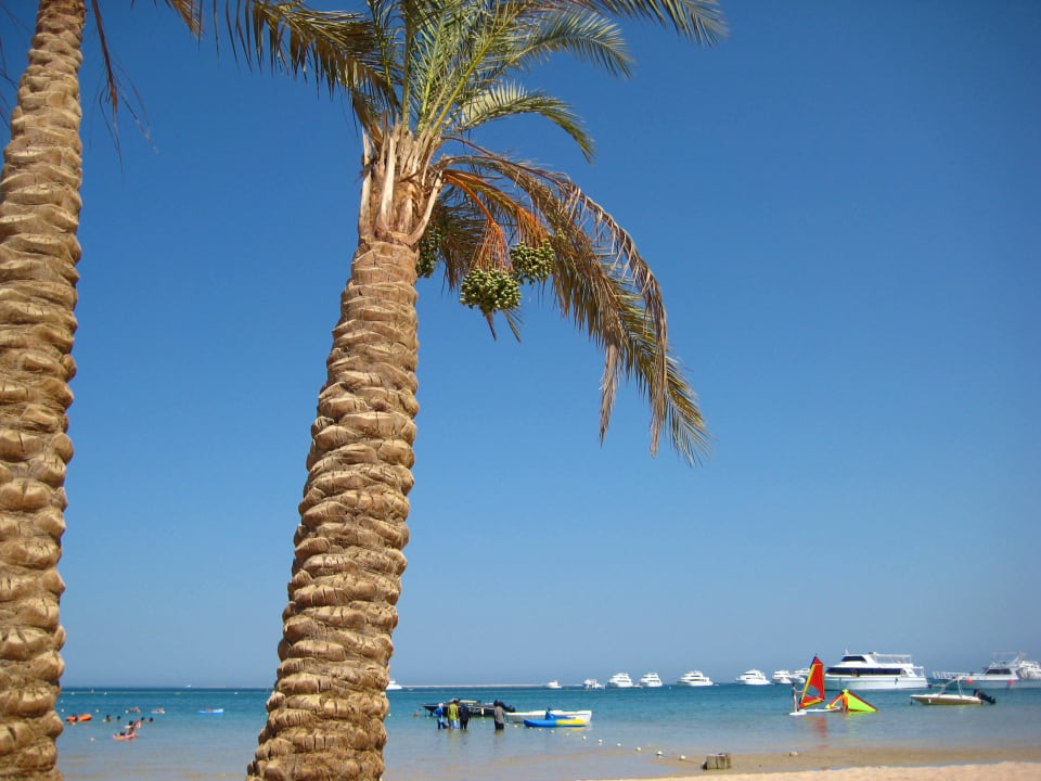 Strand Giftun Azur Resort