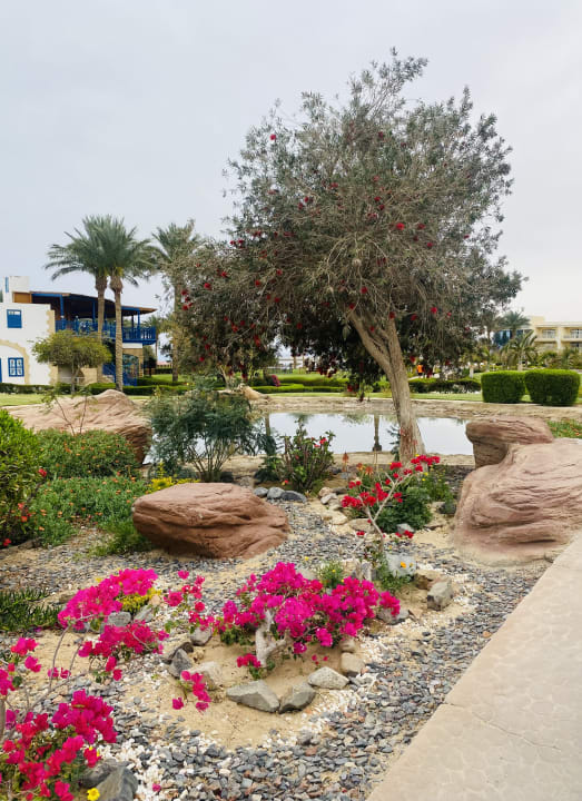 Gartenanlage Palm Royale Resort - Soma Bay