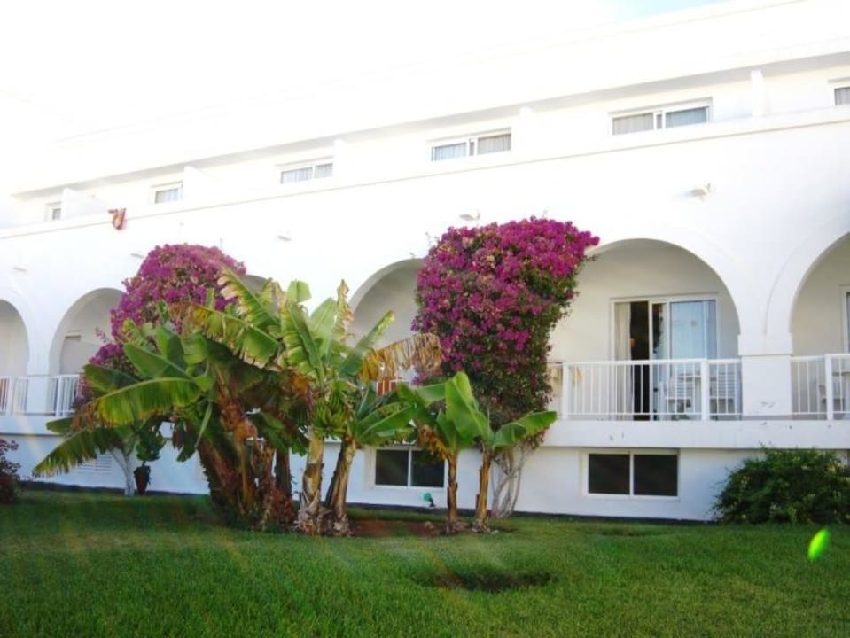 Hotel Relaxia Olivina