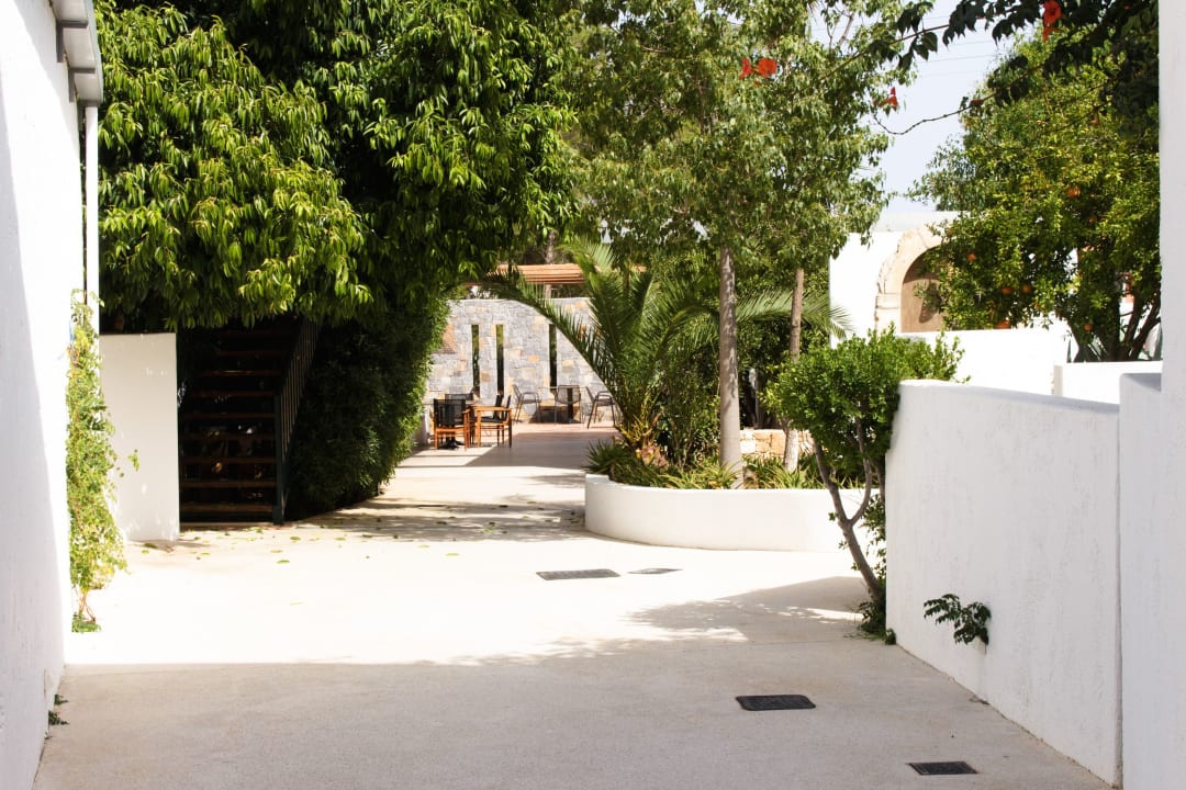 Gartenanlage Kalypso Hotel