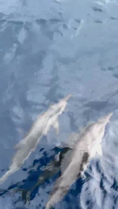 Sonstiges Jawakara Islands Maldives