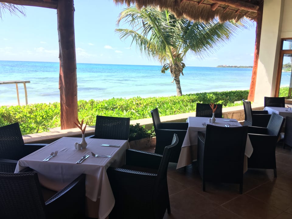 Gastro Akumal Bay Beach & Wellness Resort