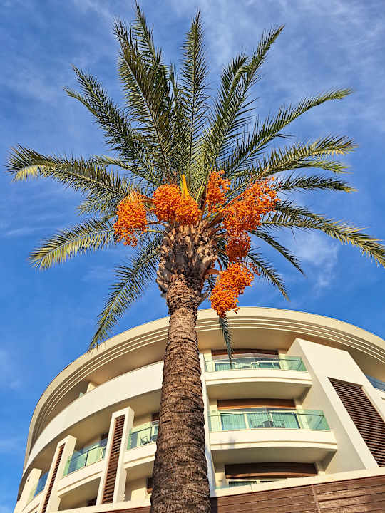 Gartenanlage Sunis Evren Beach Resort Hotel & Spa