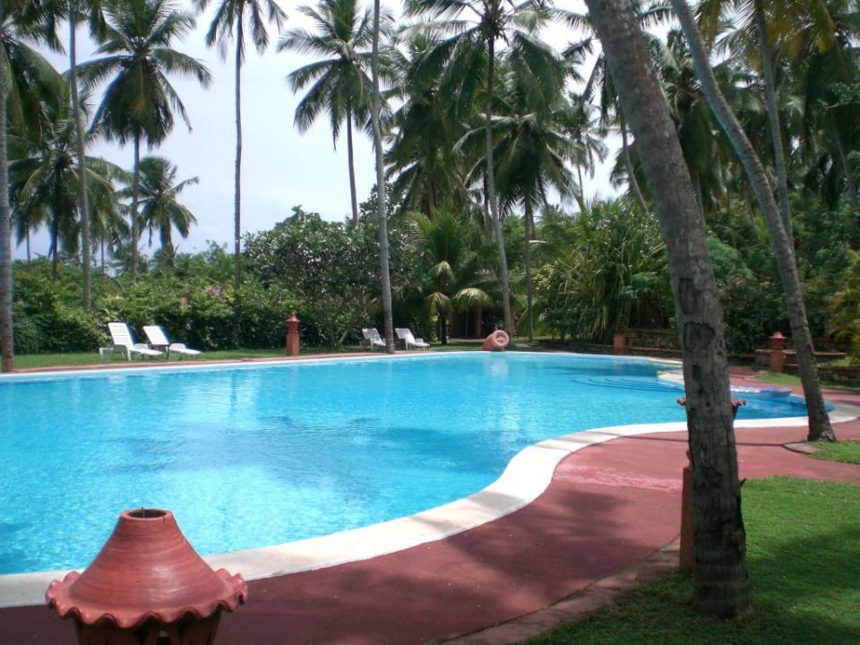 Swimmingpool Eva Lanka Hotel