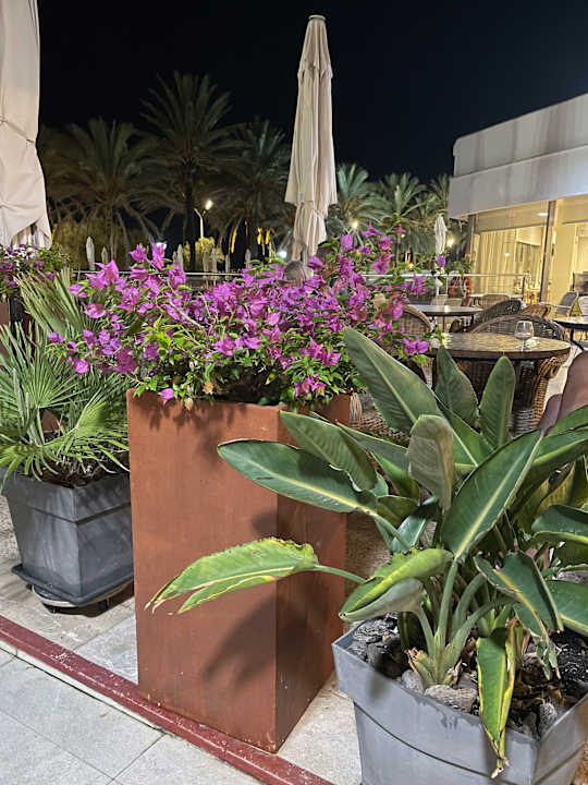 Außenansicht allsun Hotel Pil-lari Playa