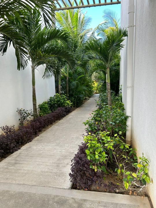 Gartenanlage Sunrise Attitude - Adults Only