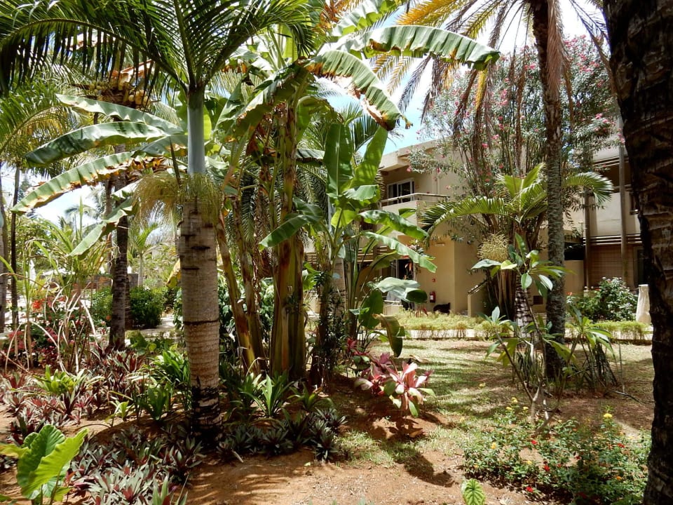 Tropische Gartenanlage Friday Attitude