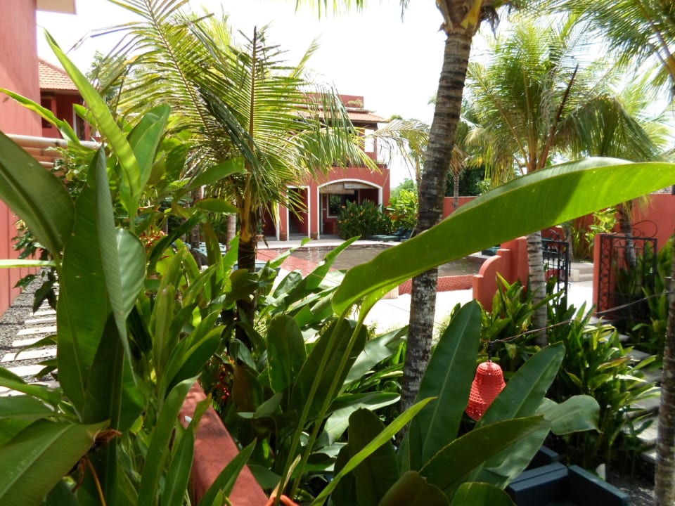 Anlage mit Garten Hotel Pinkcoco Bali