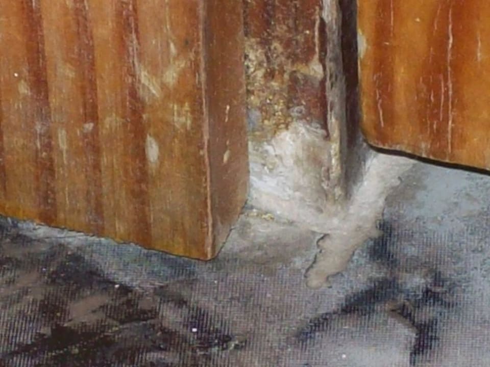 Türrahmen Corona Roja