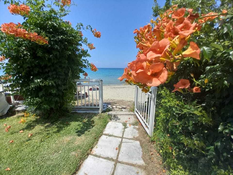 Ausblick Greek Pride Villa Ellada