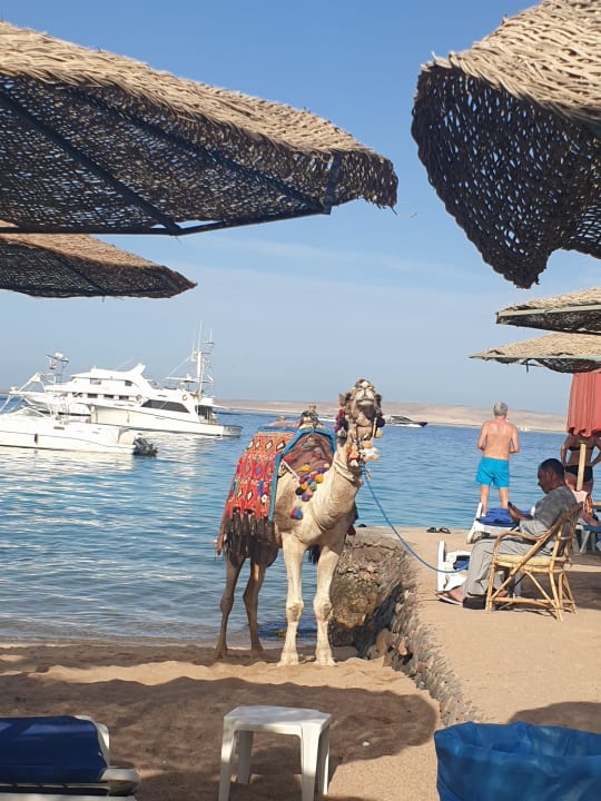 Strand Bella Vista Resort Hurghada