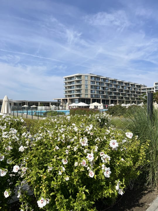 Außenansicht Wave Resort
