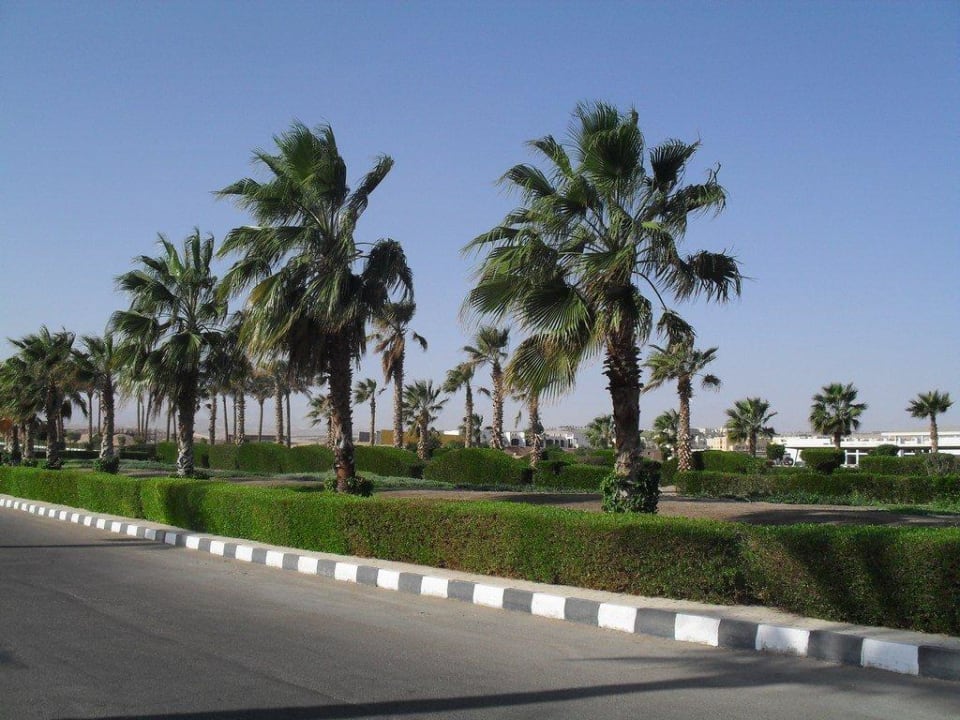 Eingang Cleopatra Luxury Resort Makadi Bay