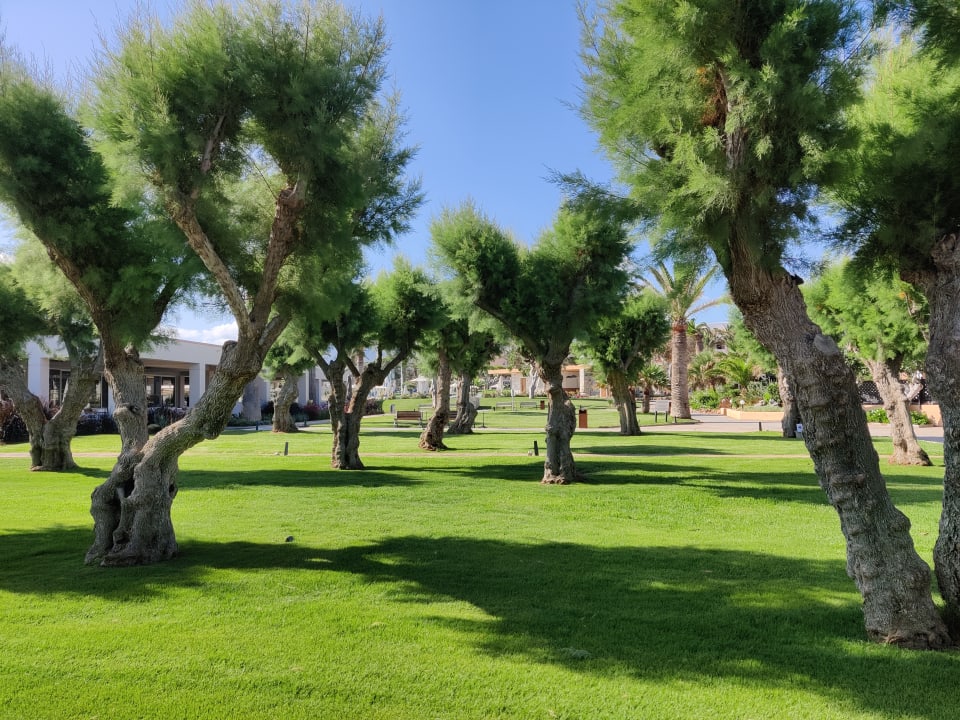 Gartenanlage Anissa Beach & Village