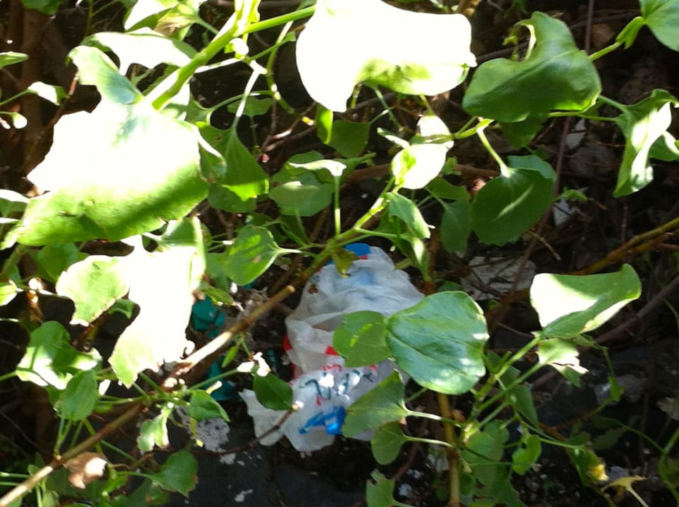 Vor dem Balkon Apartments Chinyero