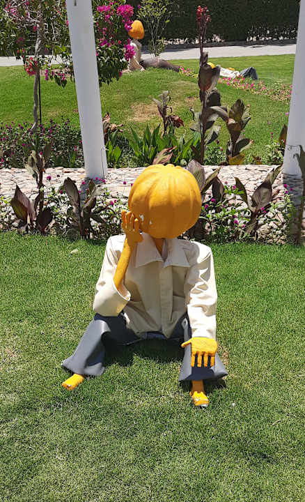 Gartenanlage Calimera Blend Paradise